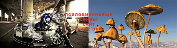 гашик Киренск