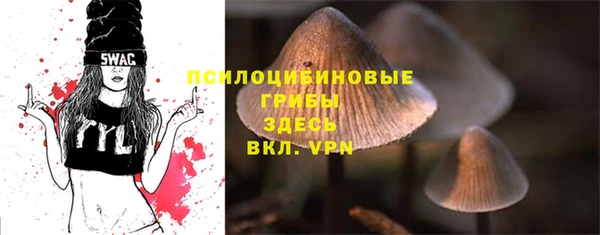 гашик Киренск