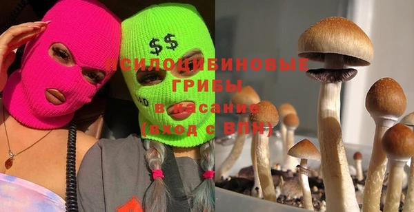 гашик Киренск