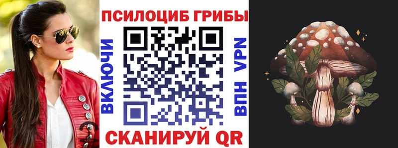 Псилоцибиновые грибы MAGIC MUSHROOMS Купить где Дзержинский